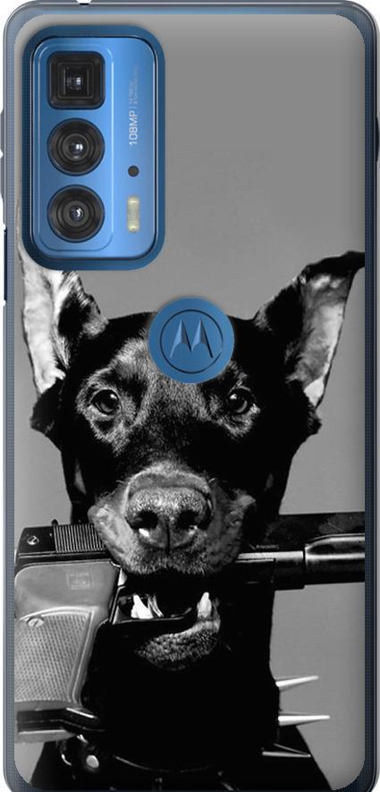 Чехол на Motorola Edge 20 Pro Доберман (2745u-2662-42517)