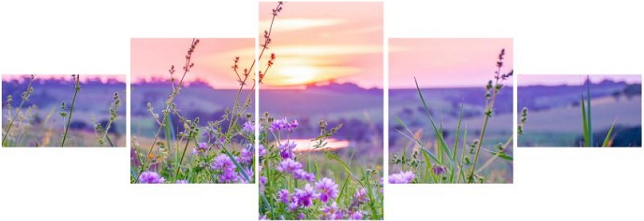 Картина-обогреватель модульная Monocrystal Луговые цветы инфракрасная на холсте 220 V 1000 W