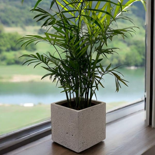 Кашпо для сада Неаполь 400х400х400 мм 1шт. (27333785) - фото 9 Кашпо для сада Неаполь 400х400х400 мм 1шт. (27333785) - фото 9