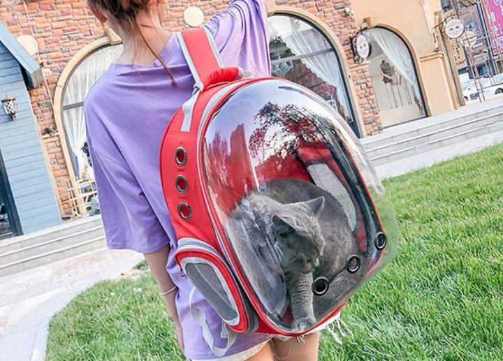 Рюкзак-переноска Lollimeow с расширителем для прогулок (DY435L) - фото 11 Рюкзак-переноска Lollimeow с расширителем для прогулок (DY435L) - фото 11