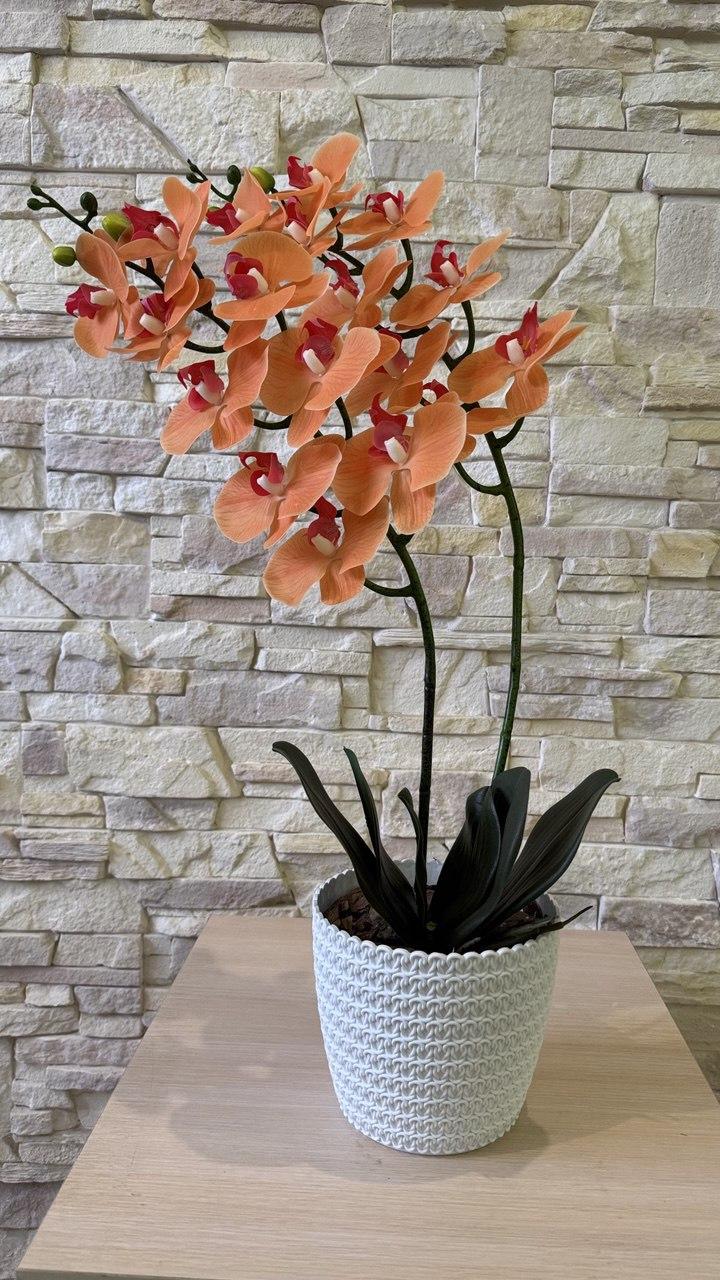 Вазон орхідея ПЛАСТМАКС латексна на дві гілки Помаранчевий (O23) - фото 2