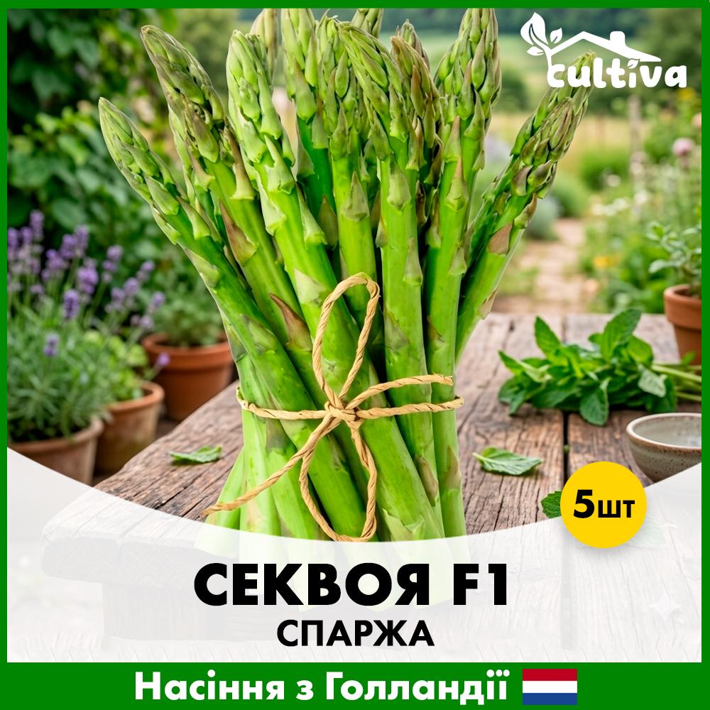Семена спаржи Hazera Секвой F1 5 шт. (R51210)