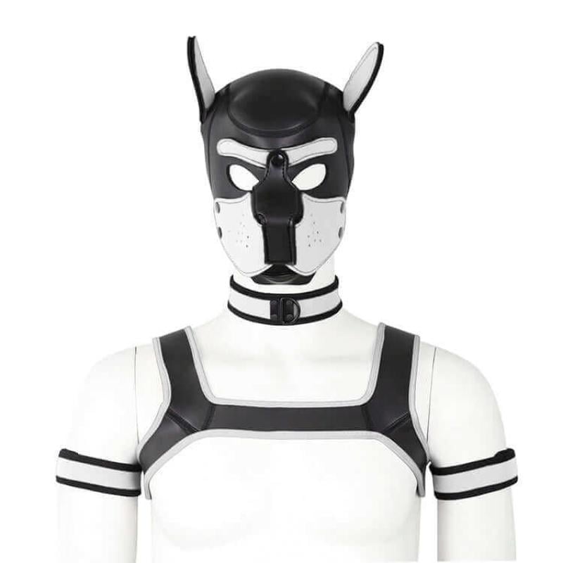 Комплект для игры в раба Dog Bondage Gear Kit White (1000061639)