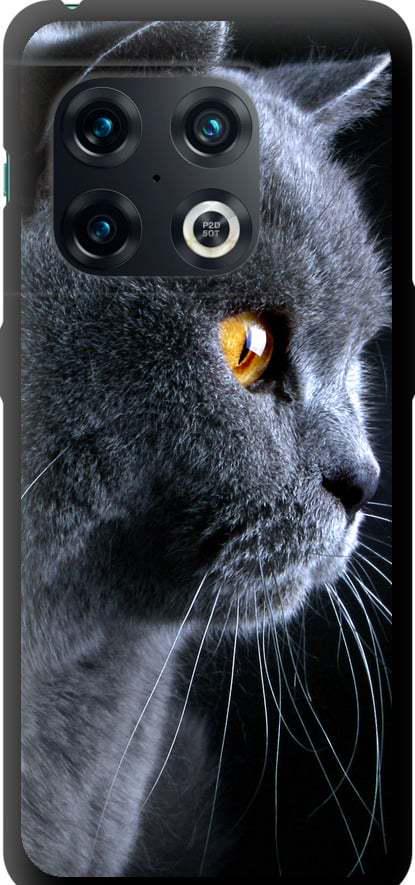 Чехол на OnePlus 10 Pro Красивый кот (3038b-2588-42517)
