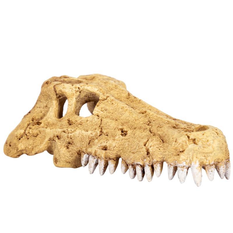 Декорація для тераріуму Repti-Zoo Crocodile Skull S 11x6x4 см (RZ-ERS34S) - фото 3 Декорація для тераріуму Repti-Zoo Crocodile Skull S 11x6x4 см (RZ-ERS34S) - фото 3