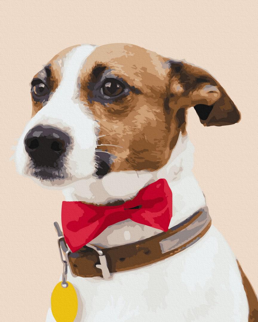 Картина по номерам Brushme Собачка чемпион 40x50 см (PGX38501)