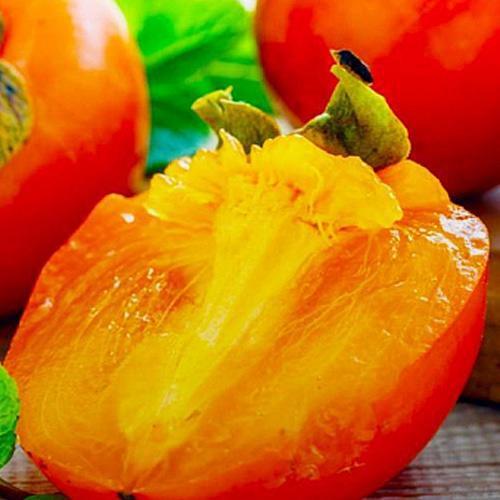 Сажанец Хурма на виргинском морозостойком подвое Гора Говерла высший сорт (26244)