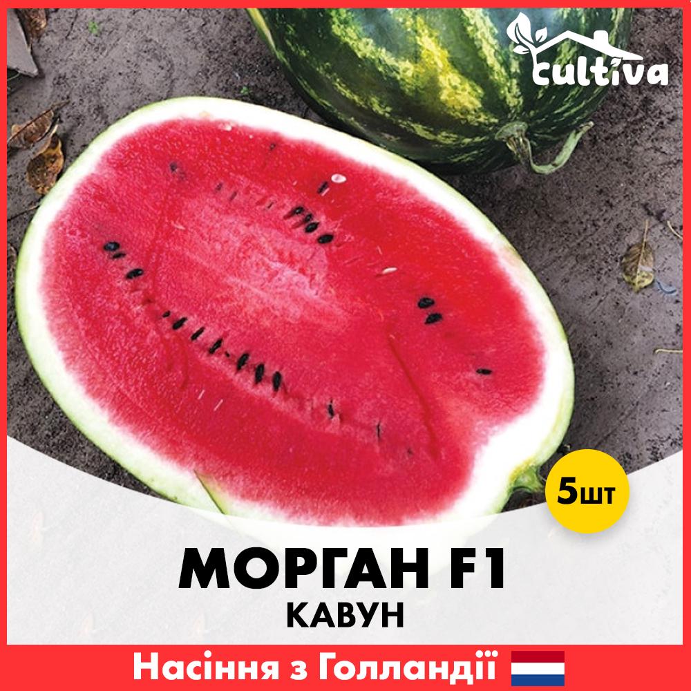 Насіння кавуну Rijk Zwaan Морган F1 5 шт. (R51166)
