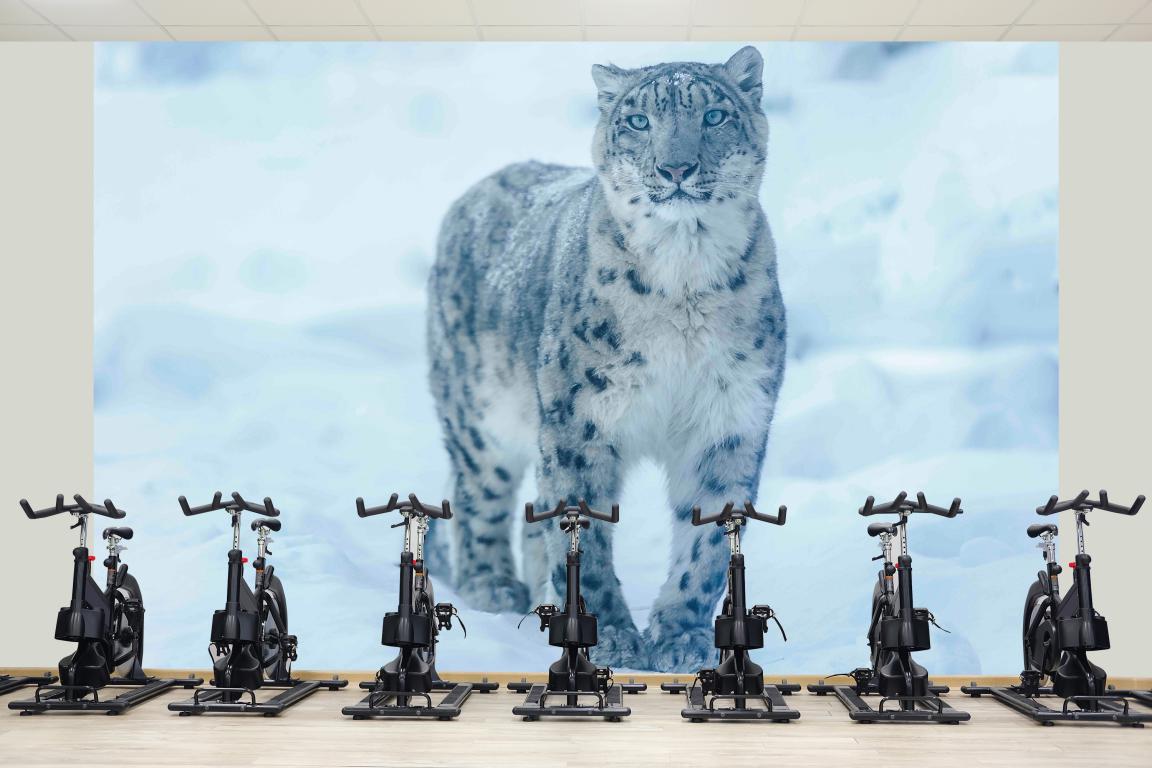 Фотообои флизелиновые для спальни/зала/кухни моющиеся Леопард на снегу