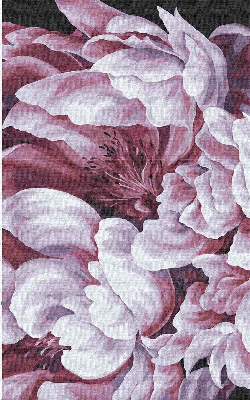 Картина по номерам ТМ Идейка Magic Pions 3 25х40 см в термопакете 25х40 см (KHO3137)