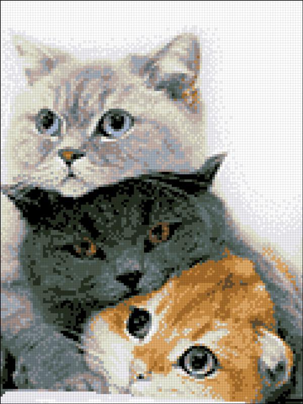 Алмазная мозаика Трио котят 30х40 см (АМШ-173)