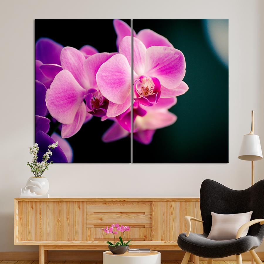 Картина цветы и растения Красивая розовая орхидея 71x51 см (A1007-2)