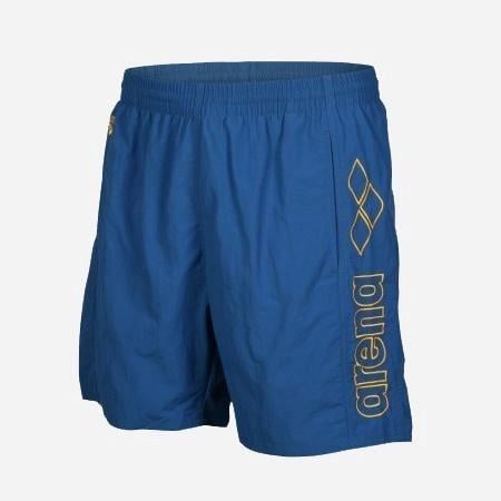 Плавки-шорты для мужчин Arena BERRYN S Голубой (43602-730 S)