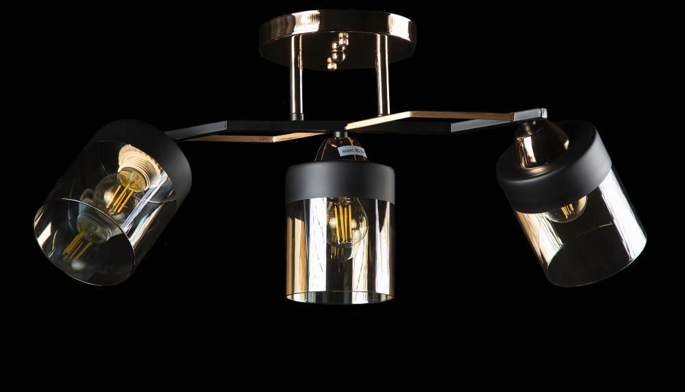 Люстра с плафонами Ray L67304/3 FG (IR006131)