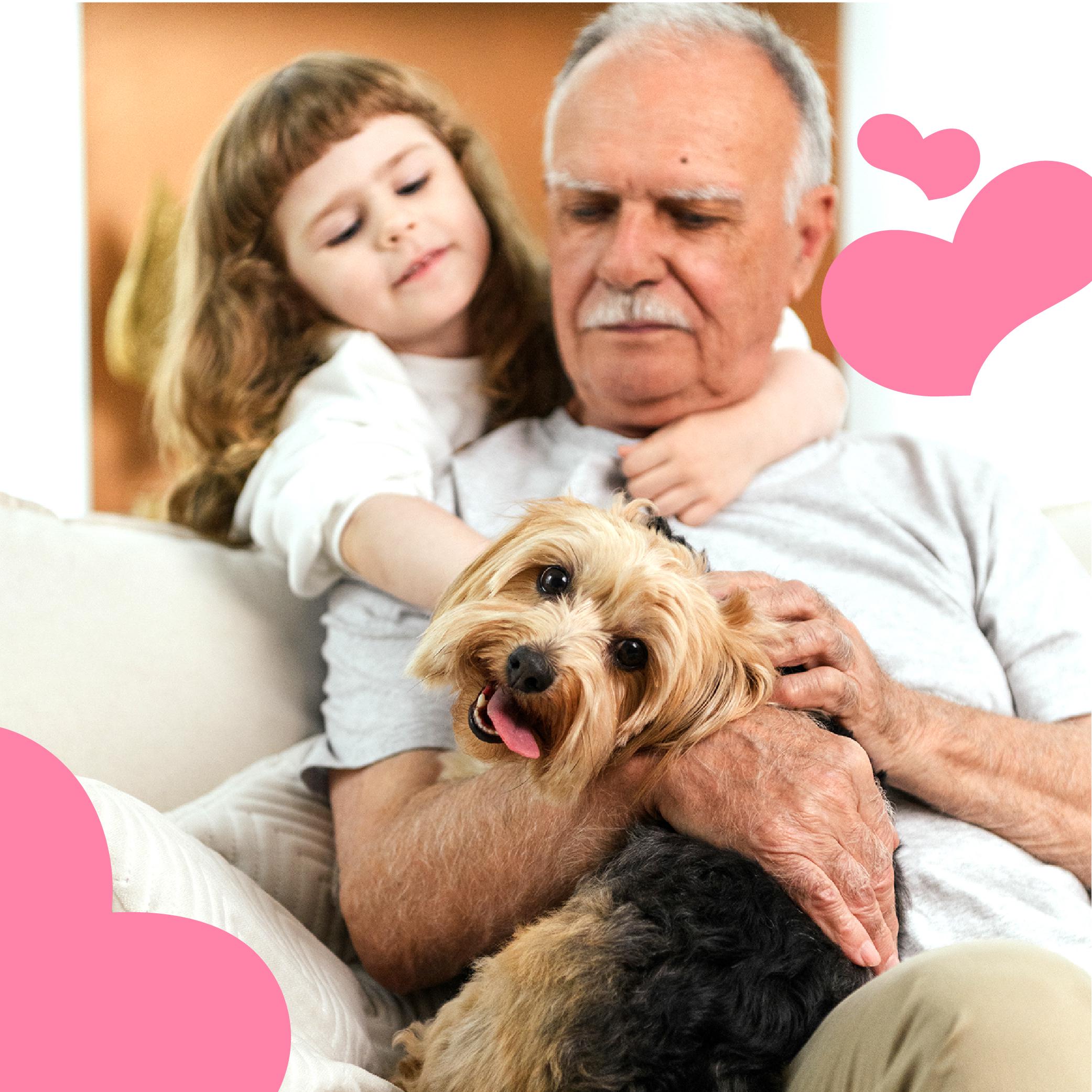 Ласощі для собак Mavsy Freeze dried PANACOTTA WITH YOGURT AND WILD BERRIES панна-котта з йогуртом та лісовими ягодами від 3-х місяців 50 г (24624852) - фото 5