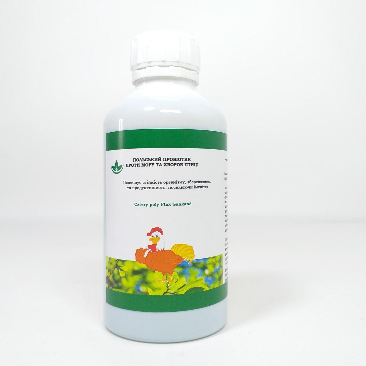 Пробиотик для птицы для профилактики инфекций/укрепления/иммунитета/продуктивности 200 мл (X-2069) Пробиотик для птицы для профилактики инфекций/укрепления/иммунитета/продуктивности 200 мл (X-2069)