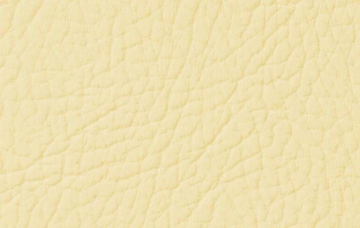 Фарба для натуральної та штучної шкіри Leather Expert Colourant 50 г 104 Buttermilk