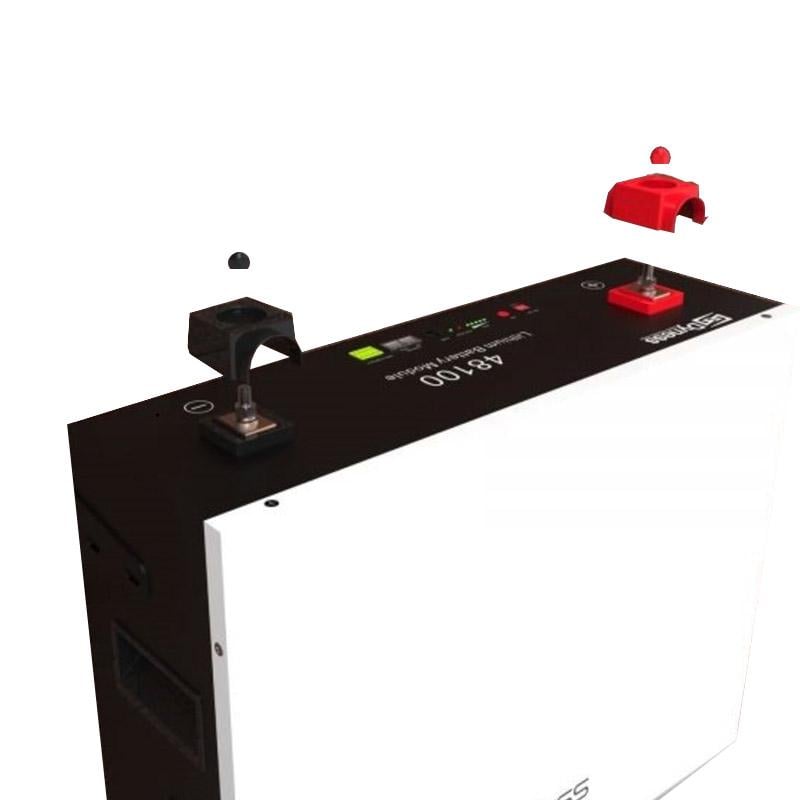 Аккумуляторная батарея Dyness A48100 (0025) - фото 3 Аккумуляторная батарея Dyness A48100 (0025) - фото 3