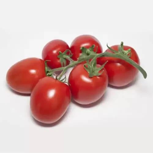 Насіння Томат Індетермінантний Kitano Seeds BANTI KS 3819 F1 100 шт. (2075187303) Насіння Томат Індетермінантний Kitano Seeds BANTI KS 3819 F1 100 шт. (2075187303)