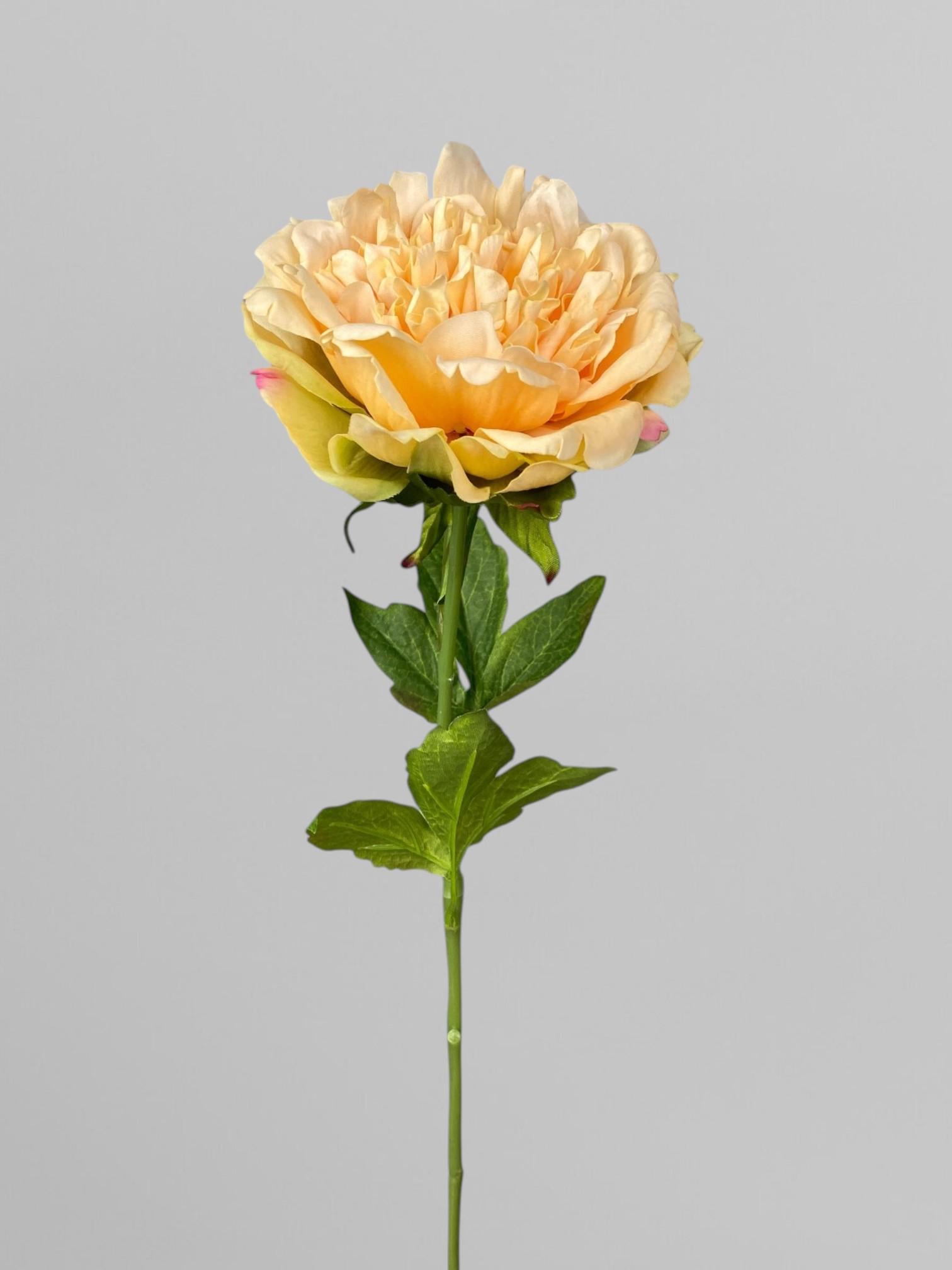 Махровый пион декоративный 59 см Кремовый (К05044)