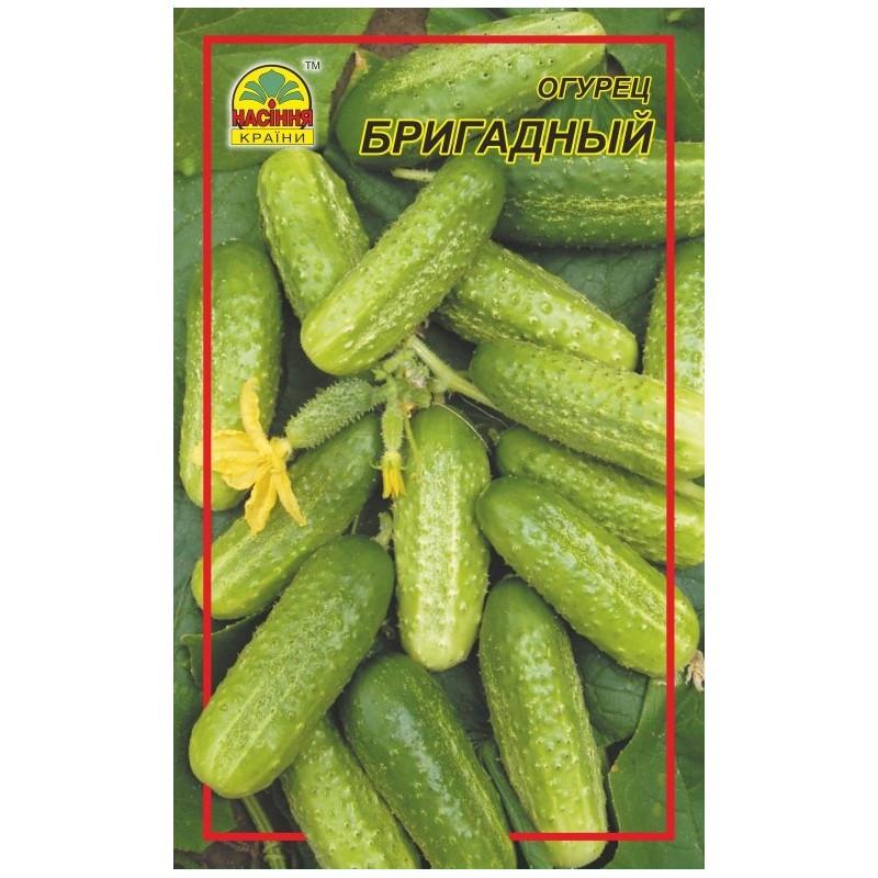 Семена огурца Насіння країни Бригадный 5 г (1137297662)