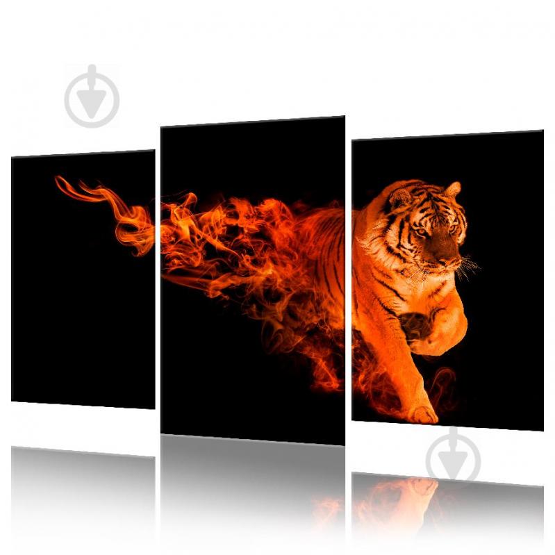 Модульная картина Тигр ADJ0012 размер 70 х 105 см