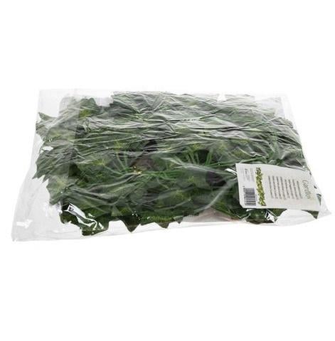 Плющ икусственный декоративный для отделки интерьера 25,2 м Зеленый - фото 7 Плющ икусственный декоративный для отделки интерьера 25,2 м Зеленый - фото 7