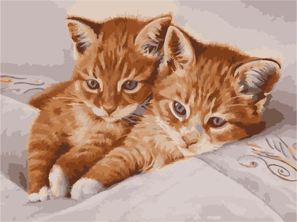 Картина по номерам Art Story Рыжие котята 30x40 см (AS1062)