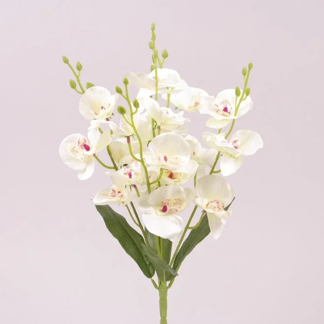 Букет Орхидей Flora Белый (70972)