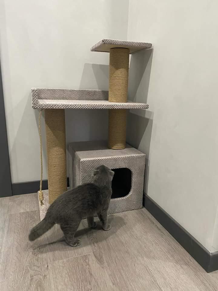 Когтеточка с домиком и лежанкой 85x55x35 см Мокко (21706950) - фото 4