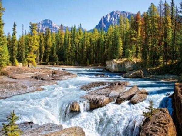 Картина по номерам Josef Otten Пейзаж Горная река 40х50 см в термопакете (3111RA_O-mt)