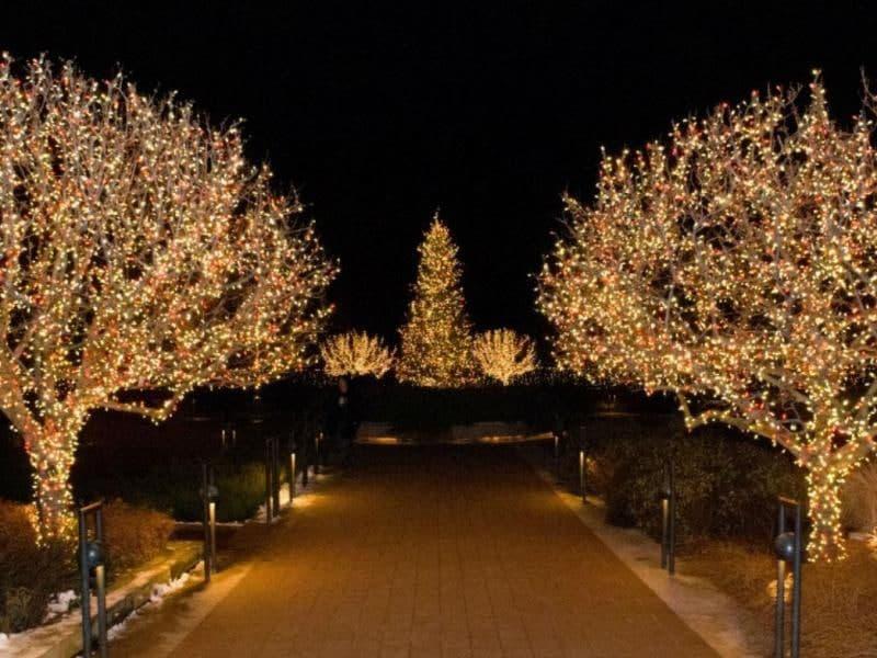 Гірлянда світлодіодна Нитка вулична 40 м 800 Led Теплий білий/Зелений (1518249766) - фото 5 Гірлянда світлодіодна Нитка вулична 40 м 800 Led Теплий білий/Зелений (1518249766) - фото 5