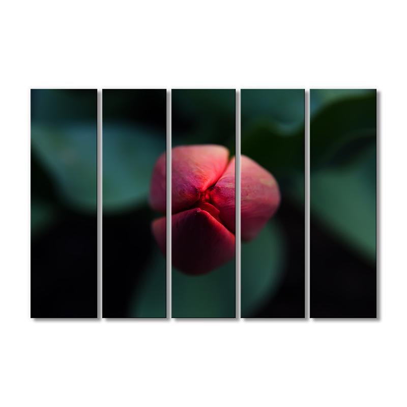 Картина модульная Бутон цветка 5 модулей 120x180 см