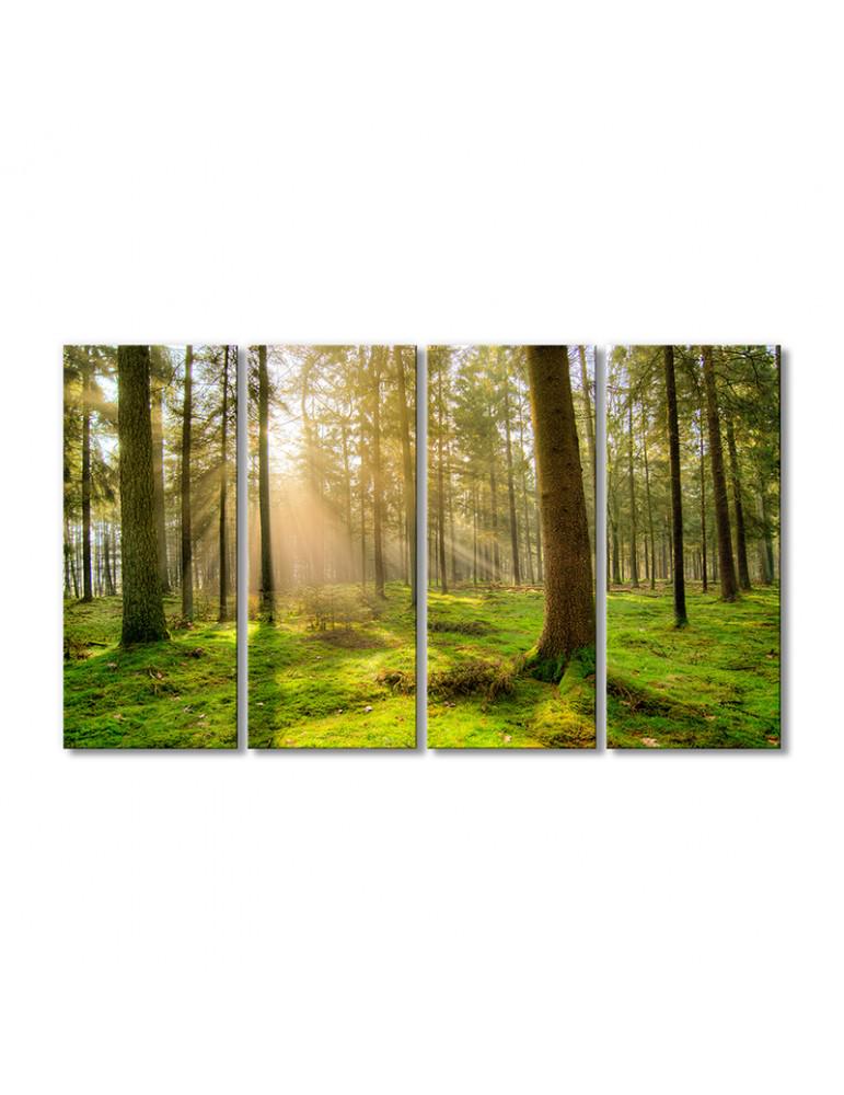 Картина модульная Солнечный луч деревья в лесу 4 модуля 80x120 см