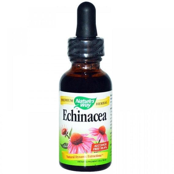 Эхинацея Nature's Way Echinacea Alcohol Free 99,9% 1 fl oz 30 мл (000002550)