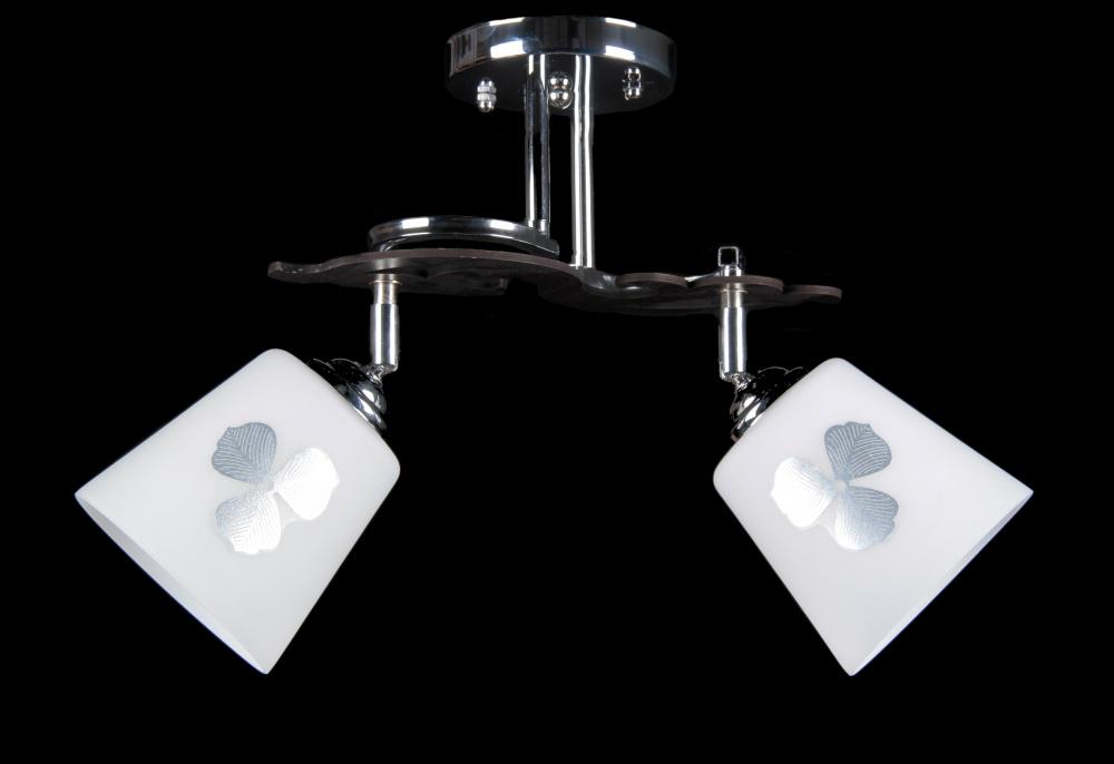 Люстра с плафонами Ray L6264/2 CR (IR005673)