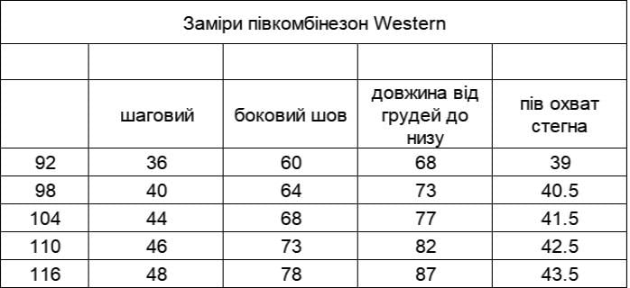 Дитячий зимовий напівкомбінезон 104 см Чорний (13967123) - фото 4