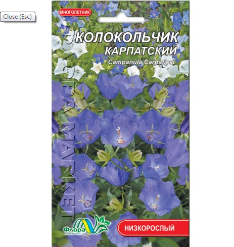 Насіння Дзвіночок Карпатський багаторічник низькорослий 0,05 г (26056) - фото 1