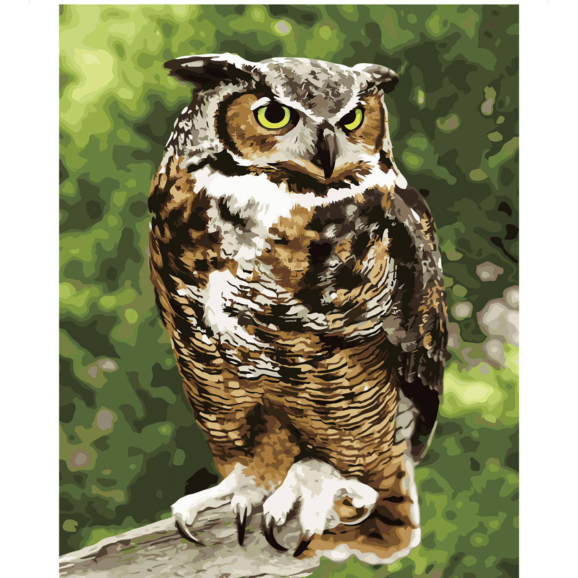 Картина по номерам Strateg Мудрая сова 40x50 см (VA-2729)