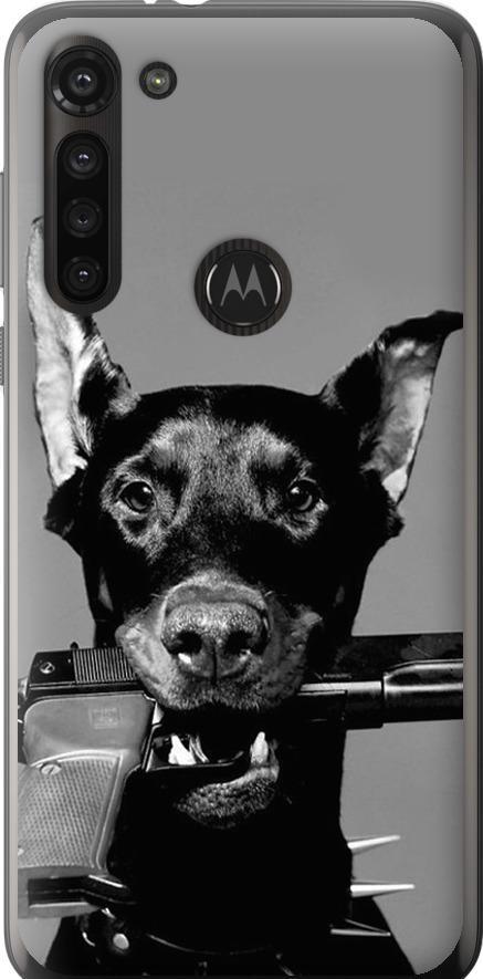 Чехол на Motorola G8 Power Доберман (2745u-1940-42517)