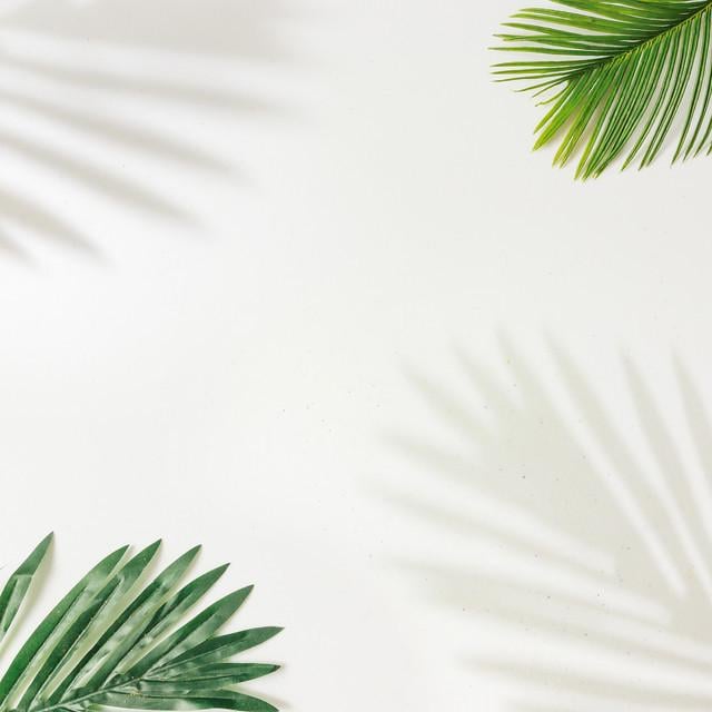 Фотофон виниловый Frontlit 80x80 см 450 г/м2 №55169