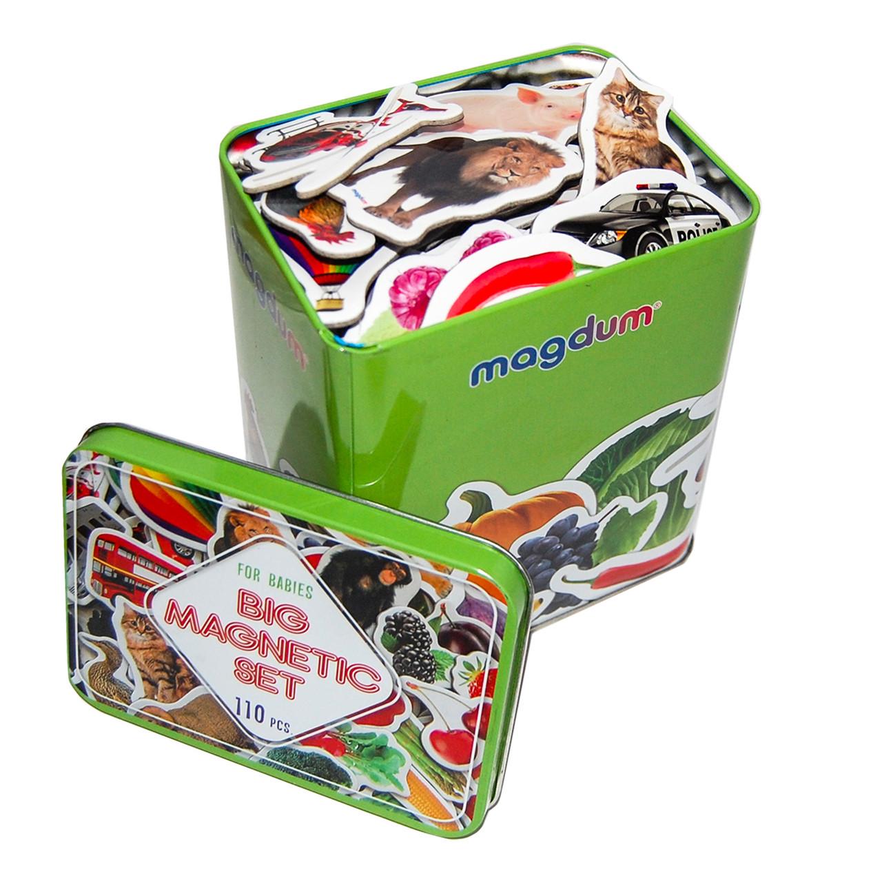 Подарунковий набір магнітів Magdum 110 шт. (ML4031-63 EN)