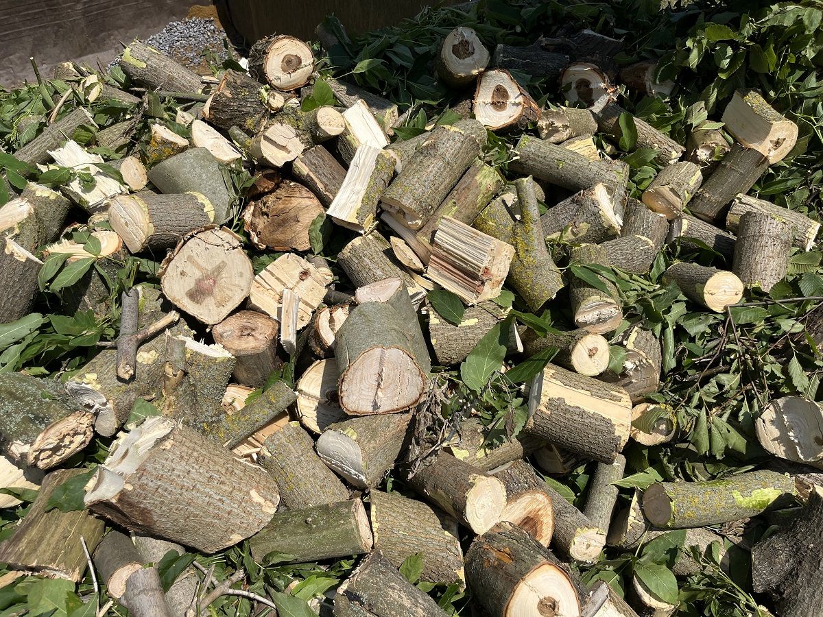 Подрібнювач гілок Arpal на шматки дров з бензиновим двигуном на причепі (АМ-120БД-К) - фото 24 Подрібнювач гілок Arpal на шматки дров з бензиновим двигуном на причепі (АМ-120БД-К) - фото 24