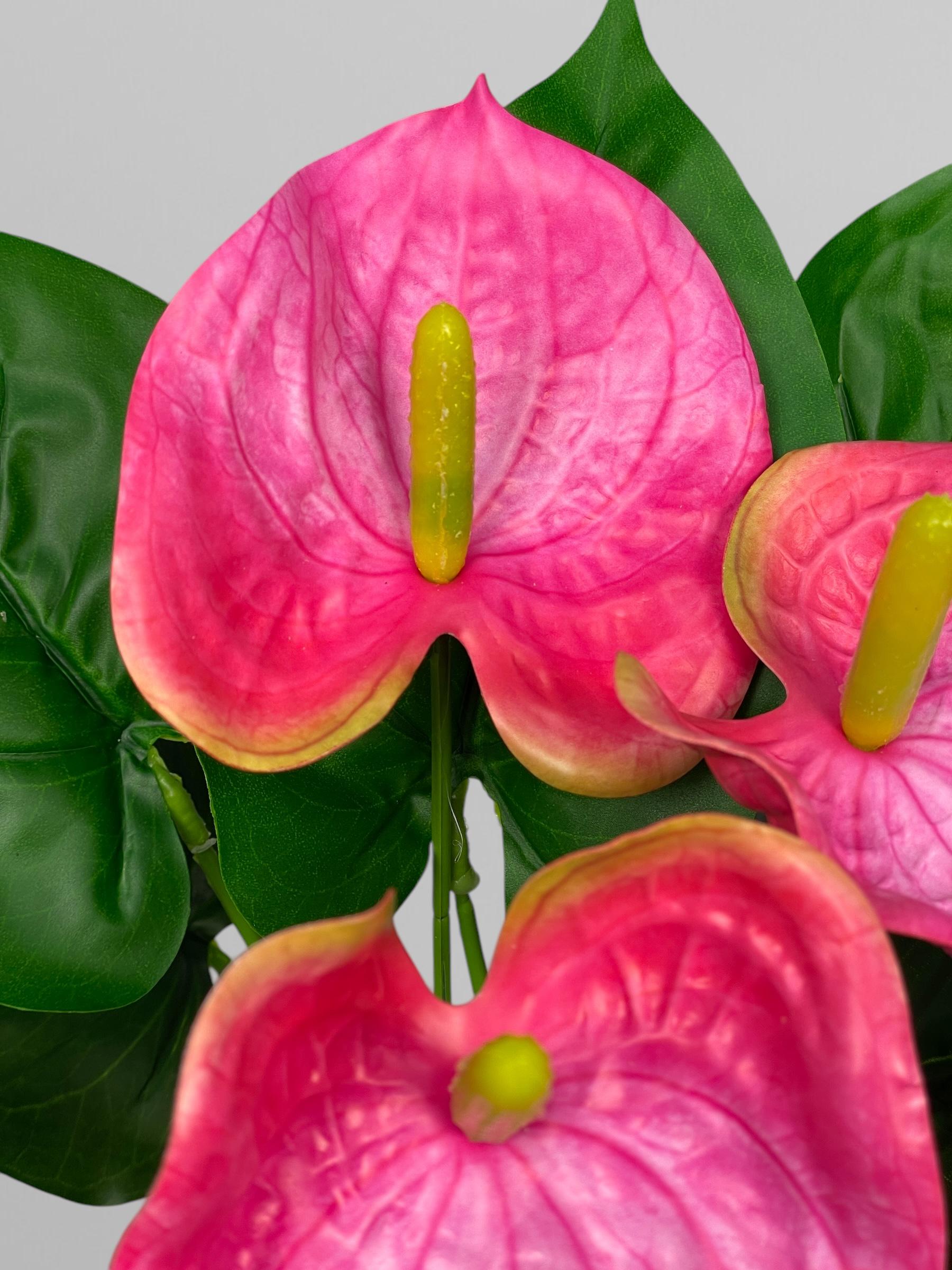 Искусственный антуриум букет 3 цветка 32 см Ярко-розовый (К13109) - фото 3 Искусственный антуриум букет 3 цветка 32 см Ярко-розовый (К13109) - фото 3