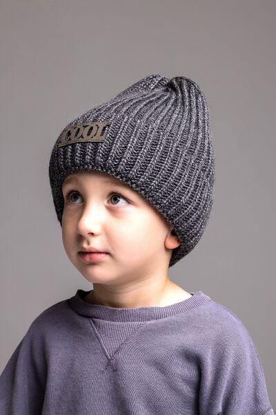 Шапка детская для мальчиков Марк D837 флис 50-54 см Асфальтовый