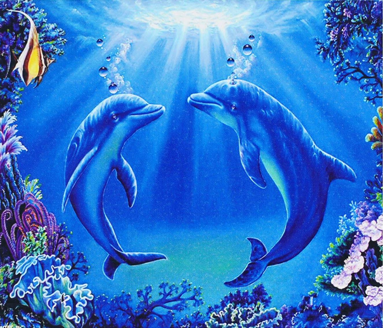 Алмазна мозаїка-картина за номерами TK Group B 78732/30 Дельфіни в коробці 40х50 см (24711879)