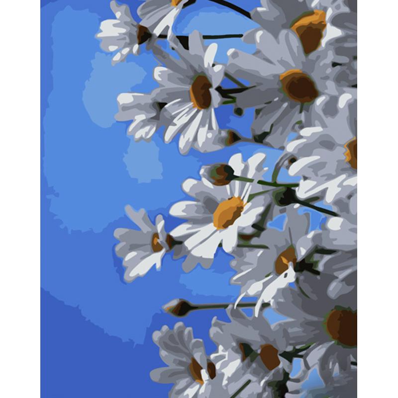 Картина по номерам Strateg Премиум Ромашки и небо 40x50 см (GS1067)