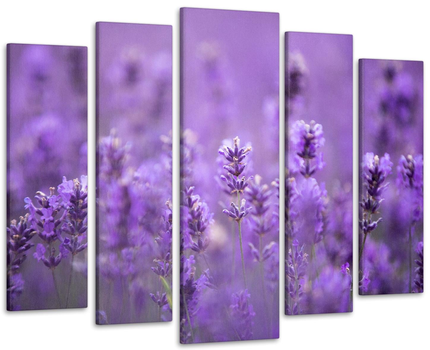 Картина модульна Лаванда 99х140 см (Art-439_5)
