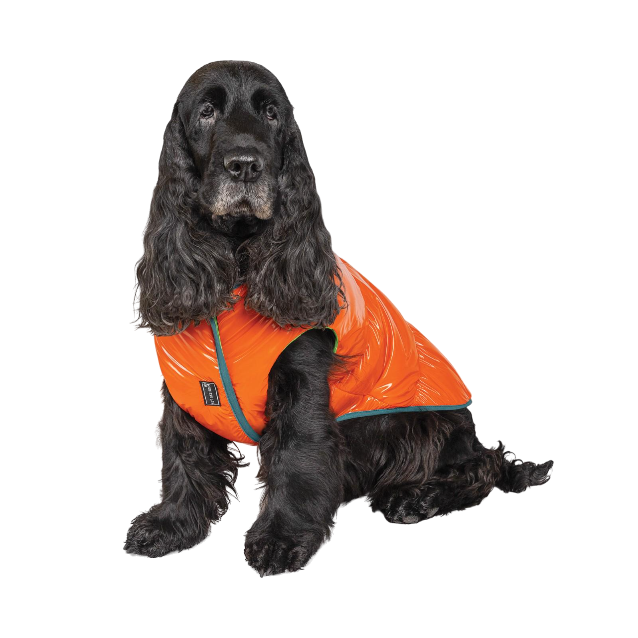 Жилет Pet Fashion Spring L Оранжевый (100528)
