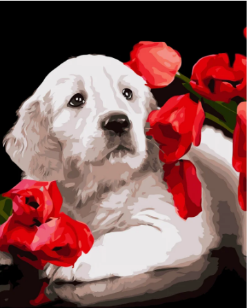 Картина по номерам Strateg Песик в маках 40x50 см (VA-3611)